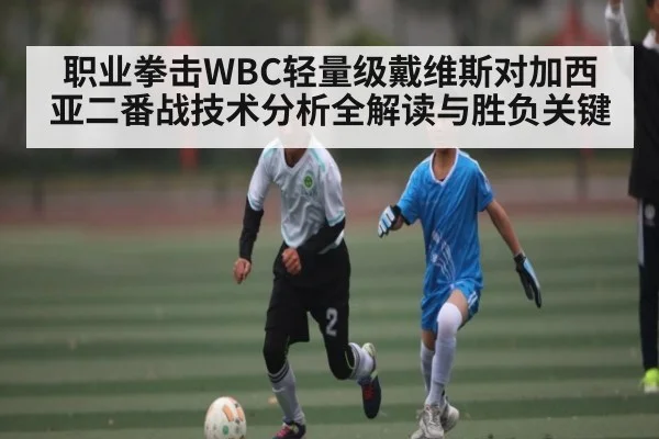 职业拳击WBC轻量级戴维斯对加西亚二番战技术分析全解读与胜负关键